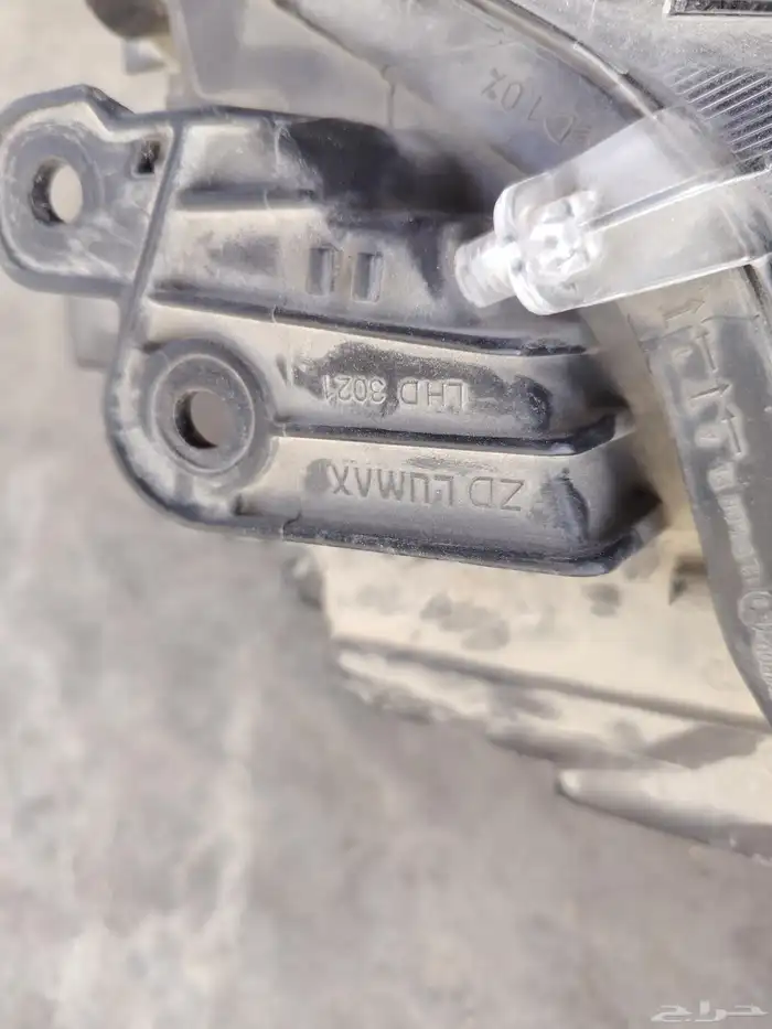 زوزكي دي زاير2025 3