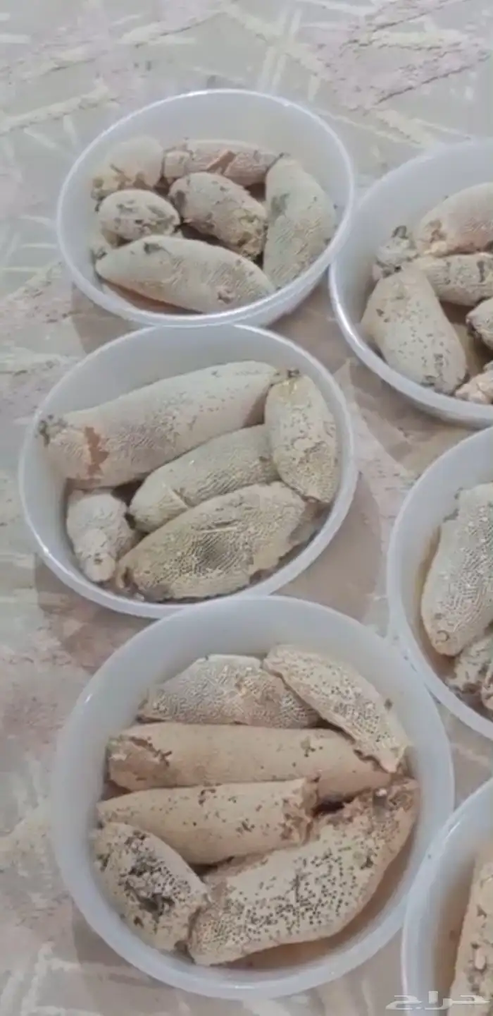 عسل سدر نظيف وعلى الشرط الموقع قنا 2