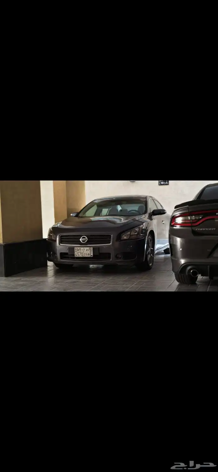 2011 ماكسيما فل كامل 8