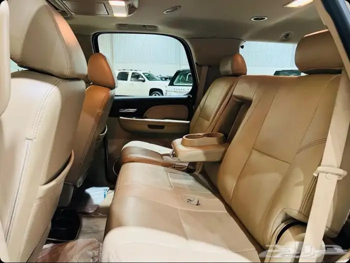 دينالي لؤلؤي 2009 فل كامل دبل وكالة لوحة شبه مميزة 16