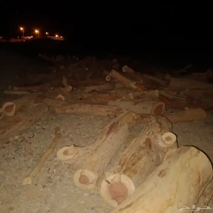 حطب سمر حمل دينه 0