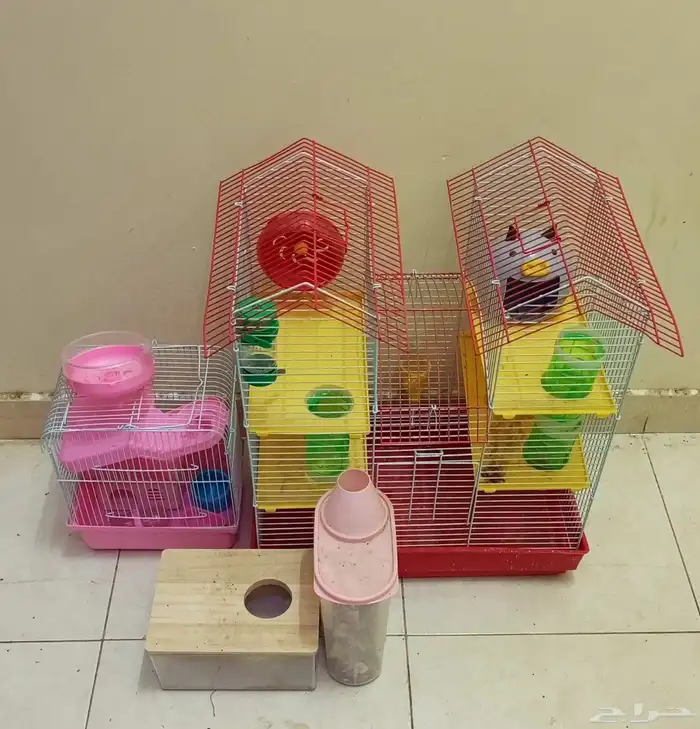 شبوك للبيع 1