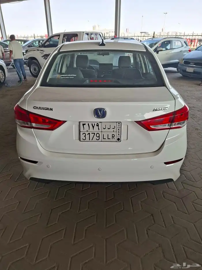 شانجان السفن 2025 0