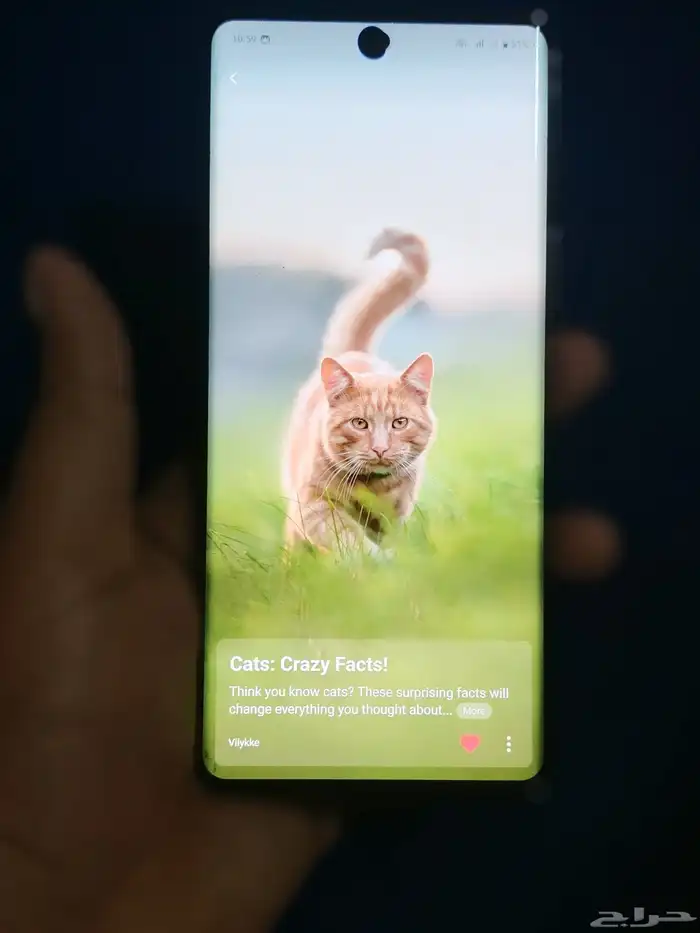 Vivo v29 Ram 12 8 phone storeage 256GB 1