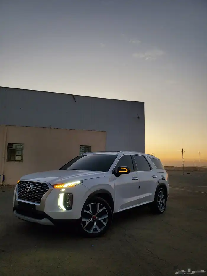 بلسيد ديزل بطاقه جمركيه 9