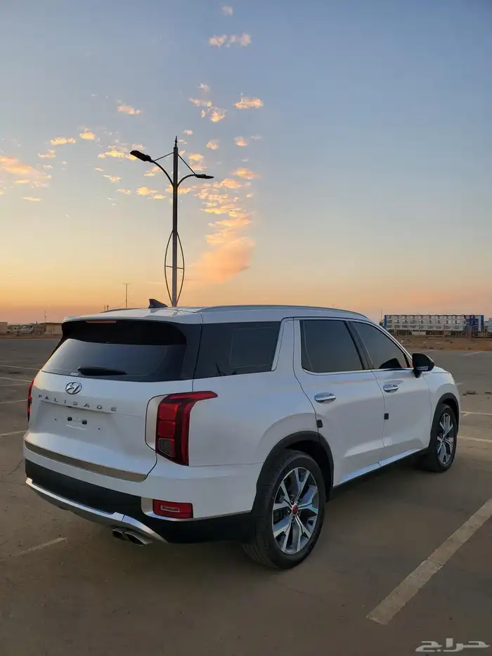 بلسيد ديزل بطاقه جمركيه 24