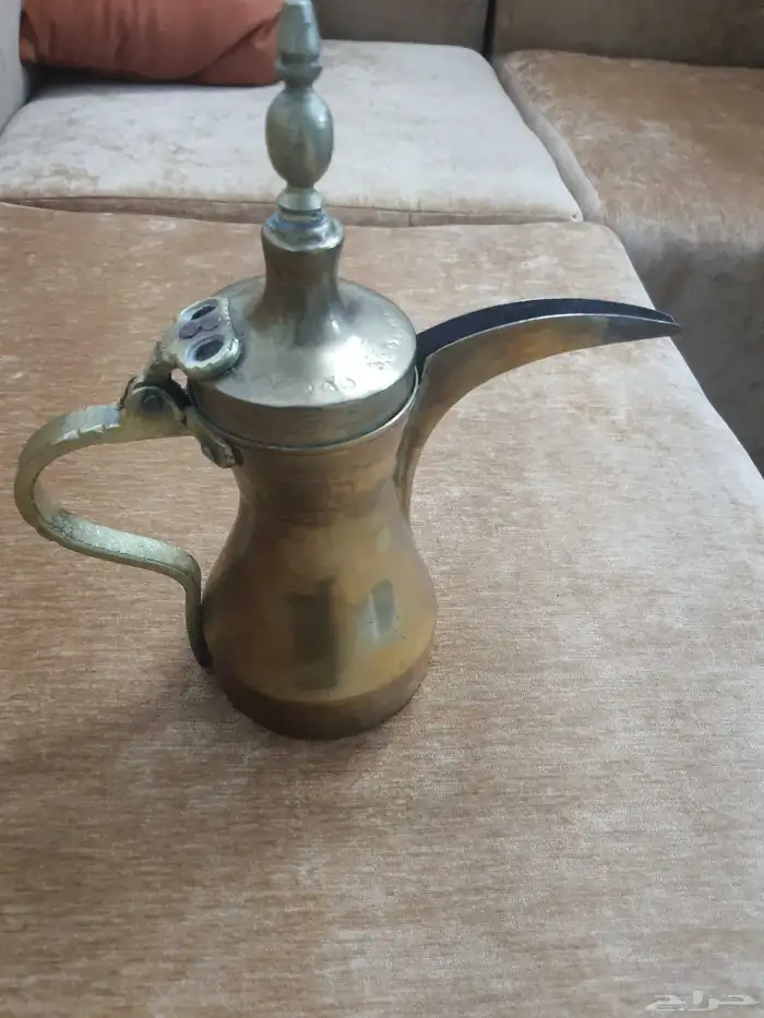 دلتين عمر الكبيره اكثر من ميتين سنه والثانيه عمرها 80 سنه لل 1