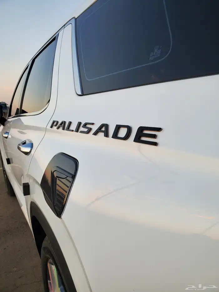 بلسيد ديزل بطاقه جمركيه 22