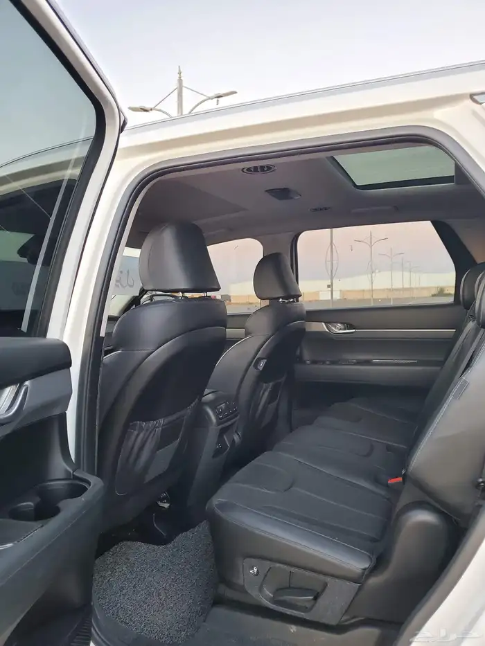 بلسيد ديزل بطاقه جمركيه 18