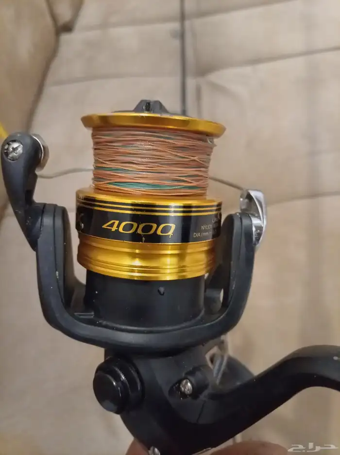 قصبة كاستنق للبيع 250 4