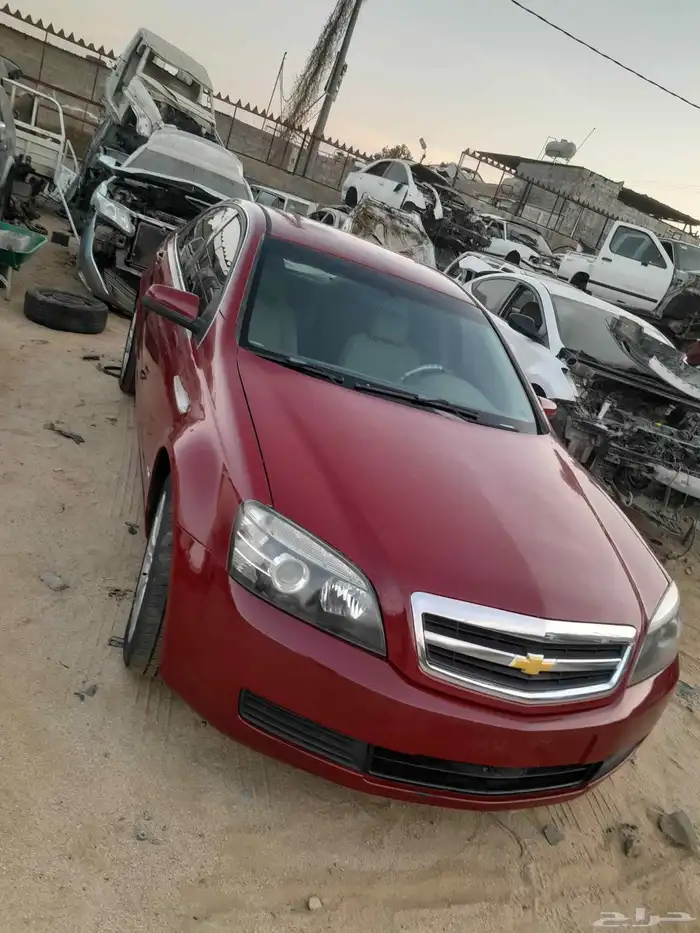 تشليح بيع تجزعه 1