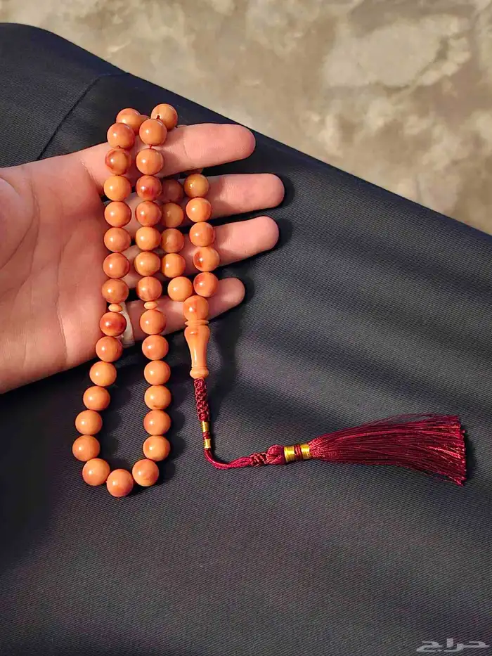 فاتوران للبيع السعر 60 ريال 0