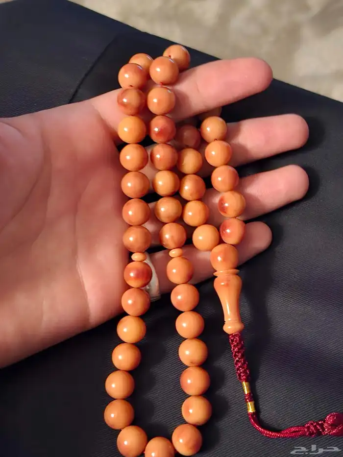 فاتوران للبيع السعر 60 ريال 1