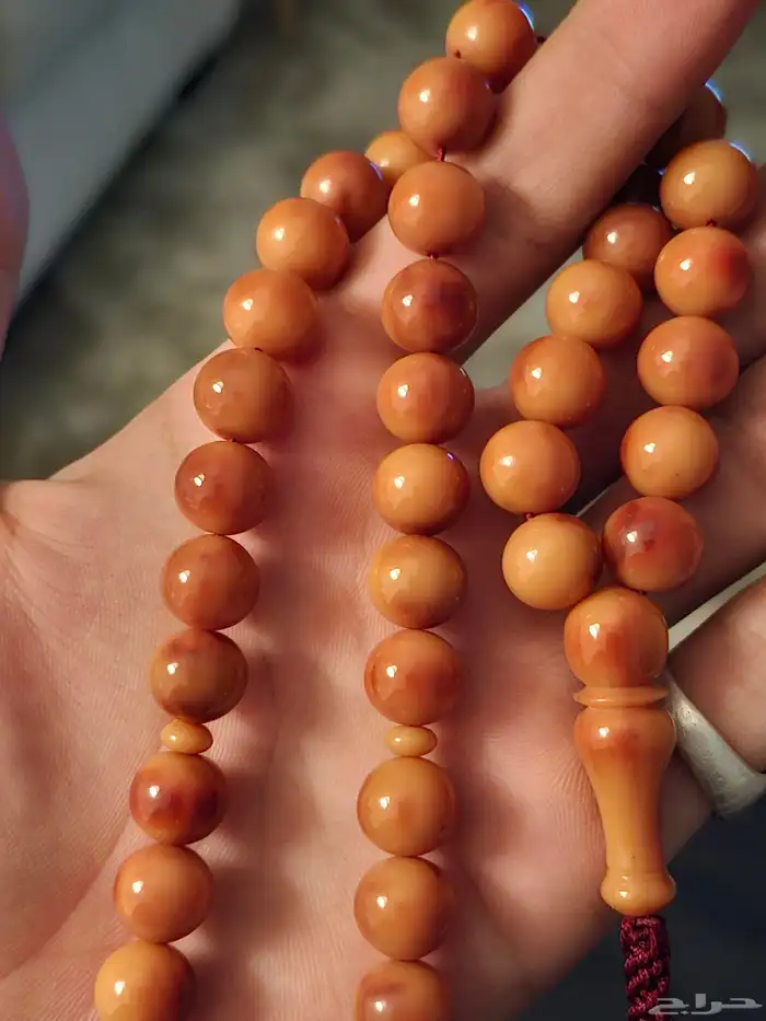 فاتوران للبيع السعر 60 ريال 2