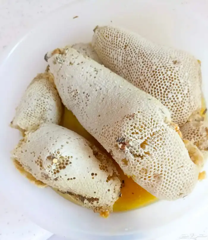 عسل سدر نظيف وعلى الشرط الموقع قنا 0