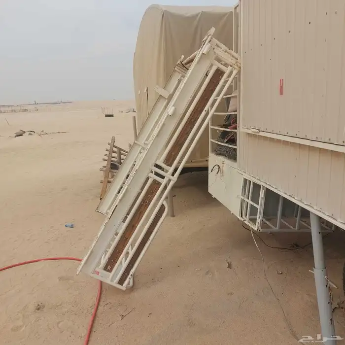 شد شاص كويتي 0