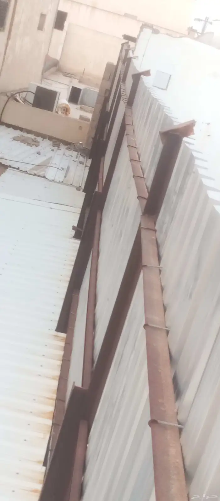 شينكو وجسور 0