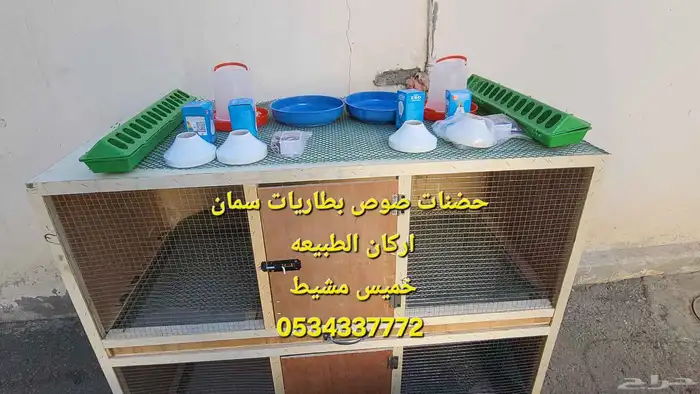 بطاريات وحضانات سمان ودجاج وفروخ 0