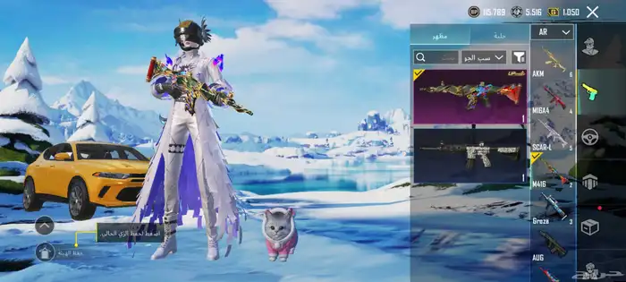 السلام عليكم حساب ببجي للبيع اقل حاجه 2000 ريال سعودي 9