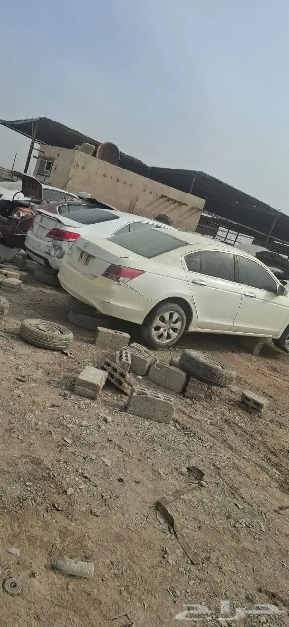 تشليح قطع غيار هوندا اكورد موديل 2009 4