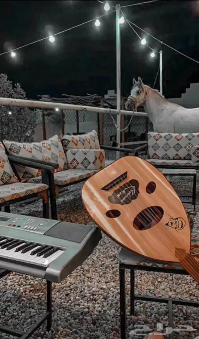 شاعر جزل و اترجم ما يدور في مخيلتك ب اطلق الابيات 0