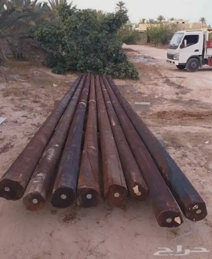 عمدان خشب صنوبر عواميد كهرباء. 4