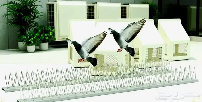 طارد الحمام 3