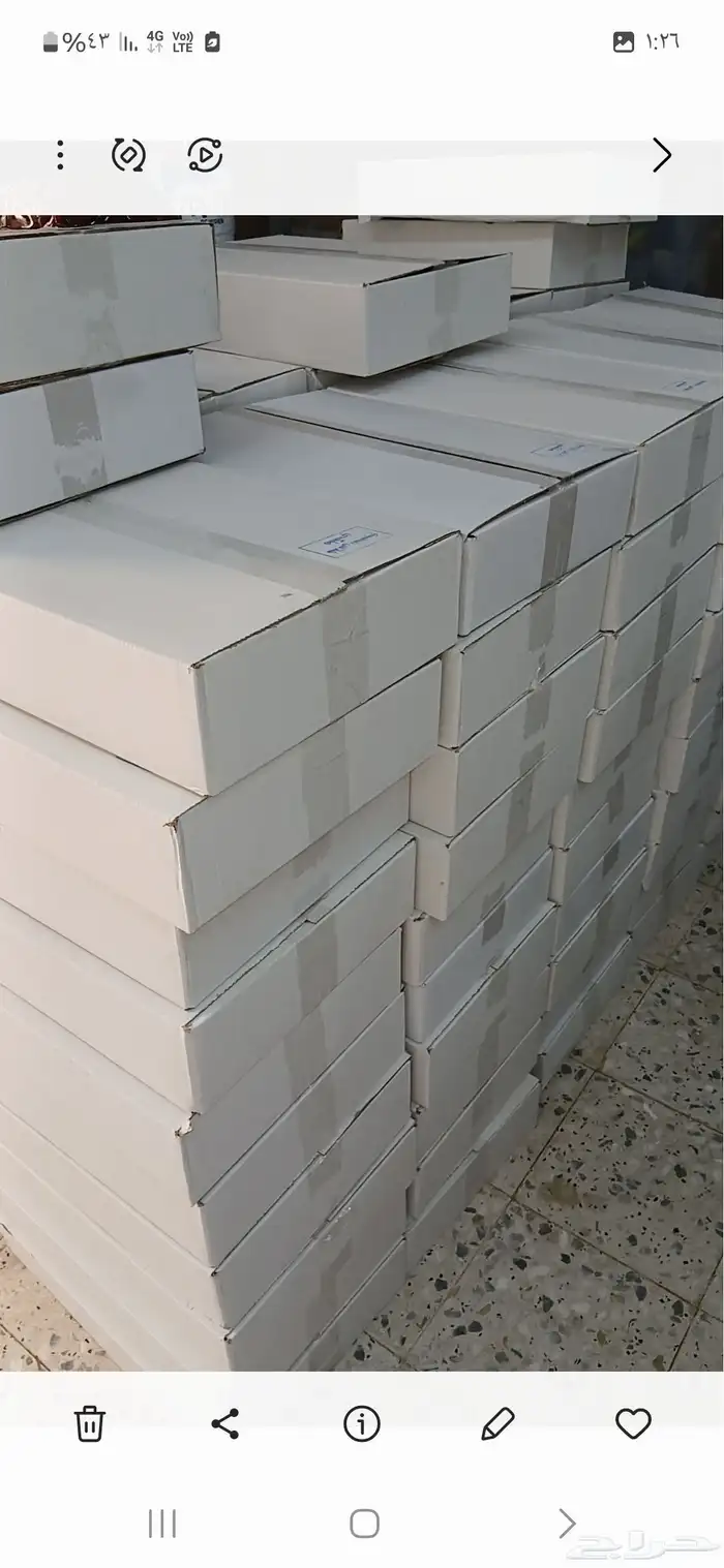 تمر خلاص القصيم 0