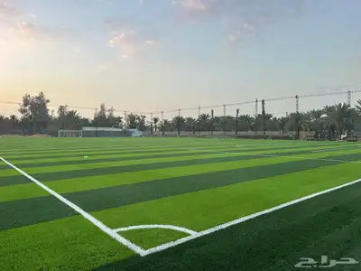 معلم انجيلا صناعي index