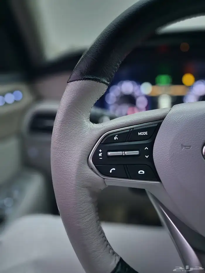 هونداي باليسيد واجن 2020 ( فل كامل ) 10