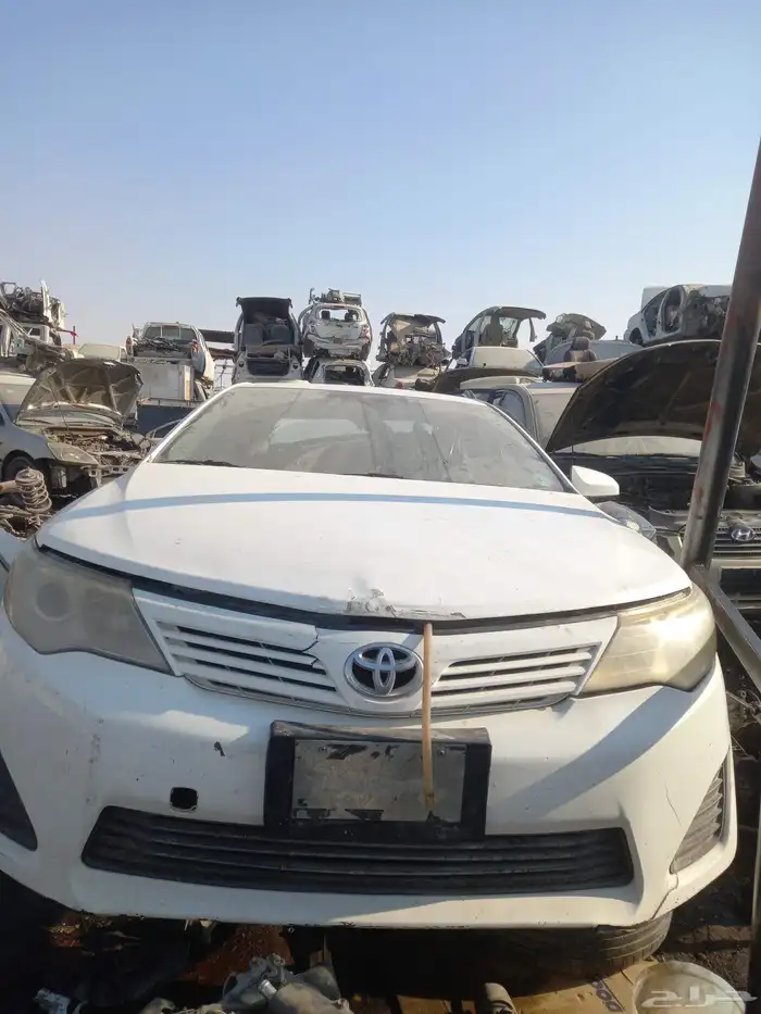 قير كامري شد بلد وكاله علي الشرط 1