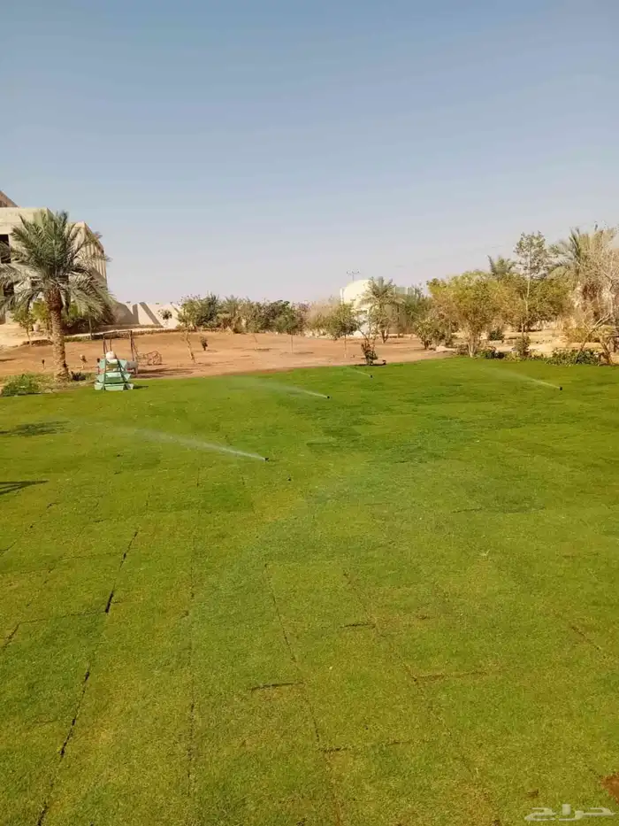 ثيل طبيعي سي 2000. فرنسي 10