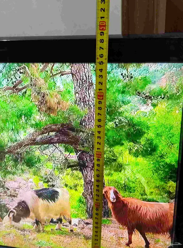 جهاز. شاشه. تلفزيون . ريموت . الكترونيات . منوعات . متحف 3