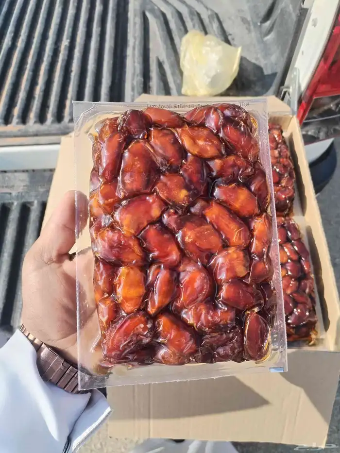 اخلاص اشيقر جامبو فاخر 3