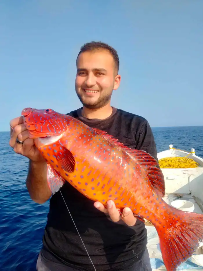 تتوفر لدينا رحلات فردية وجماعية على قاربنا المتواضع سحاب 0