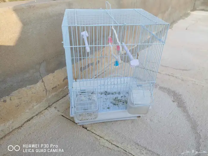 شبك طيور صغير للبيع استعمال خفيف 0