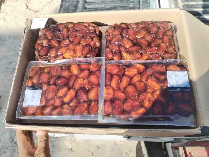 اخلاص اشيقر جامبو فاخر 2