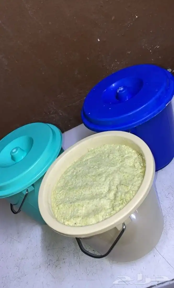 خضير مطحون مطحنه على شرط 2