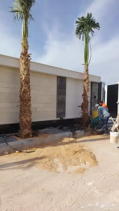 يوجد لدينا نخل وشنطني وعربي index