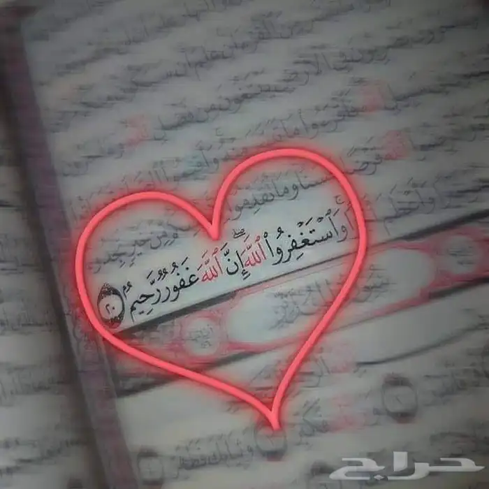 معلم قرآن كريم خصوصى وأحكام التجويد وتأسيس القراءة والكتابة 0