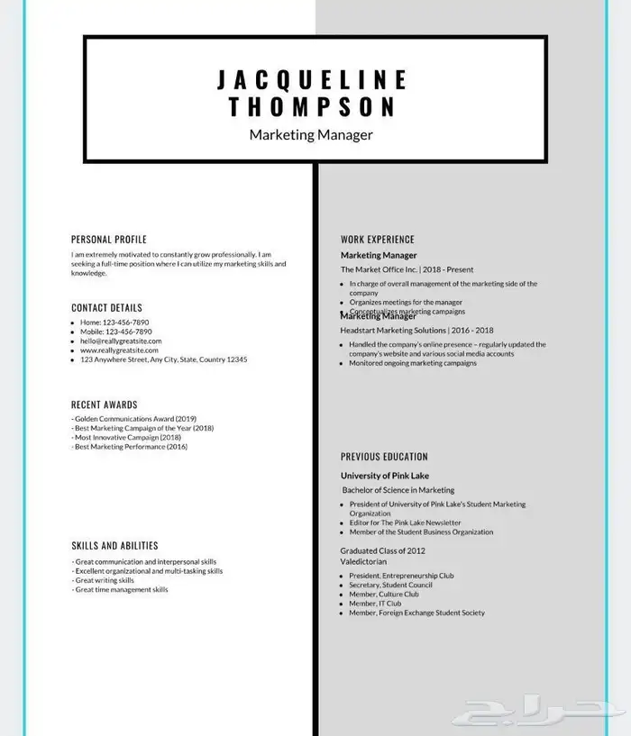 تصميم سيره ذاتيه احترافيه CV 3