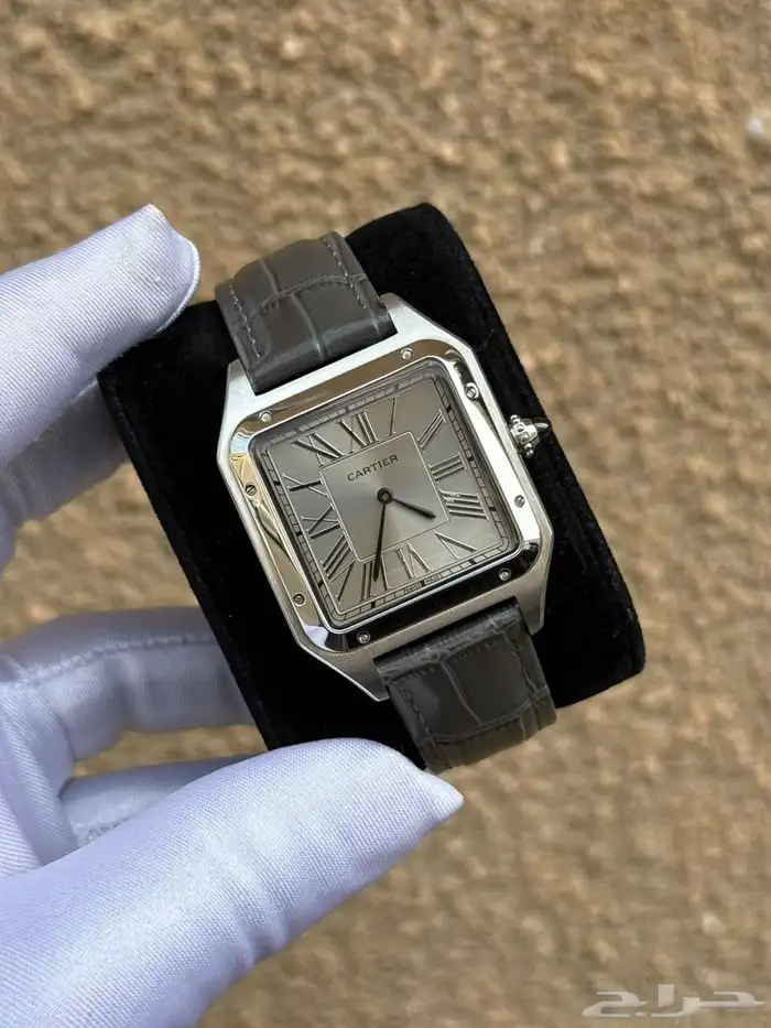 كارتير رجالي 2