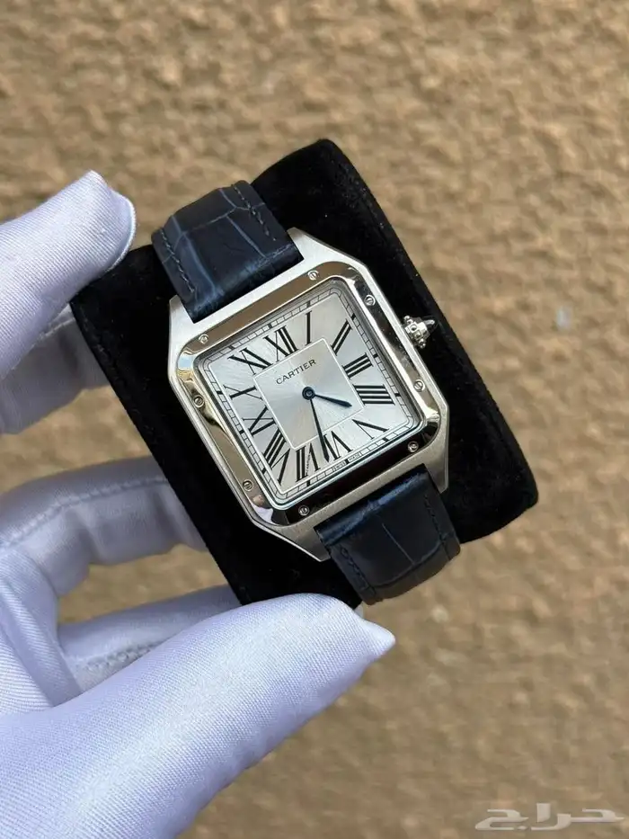 كارتير رجالي 4