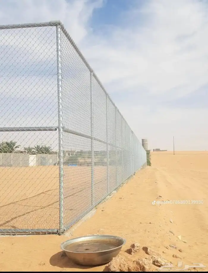 نخيل للبيع جميع انواع متوفره وجميع المقاسات 2