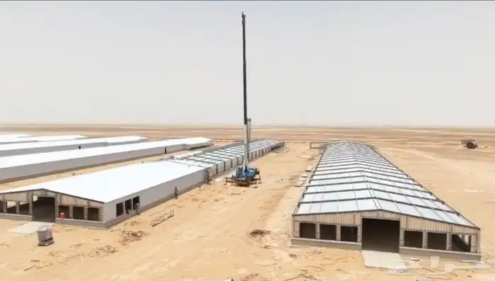 مقاول حظائر دواجن 3