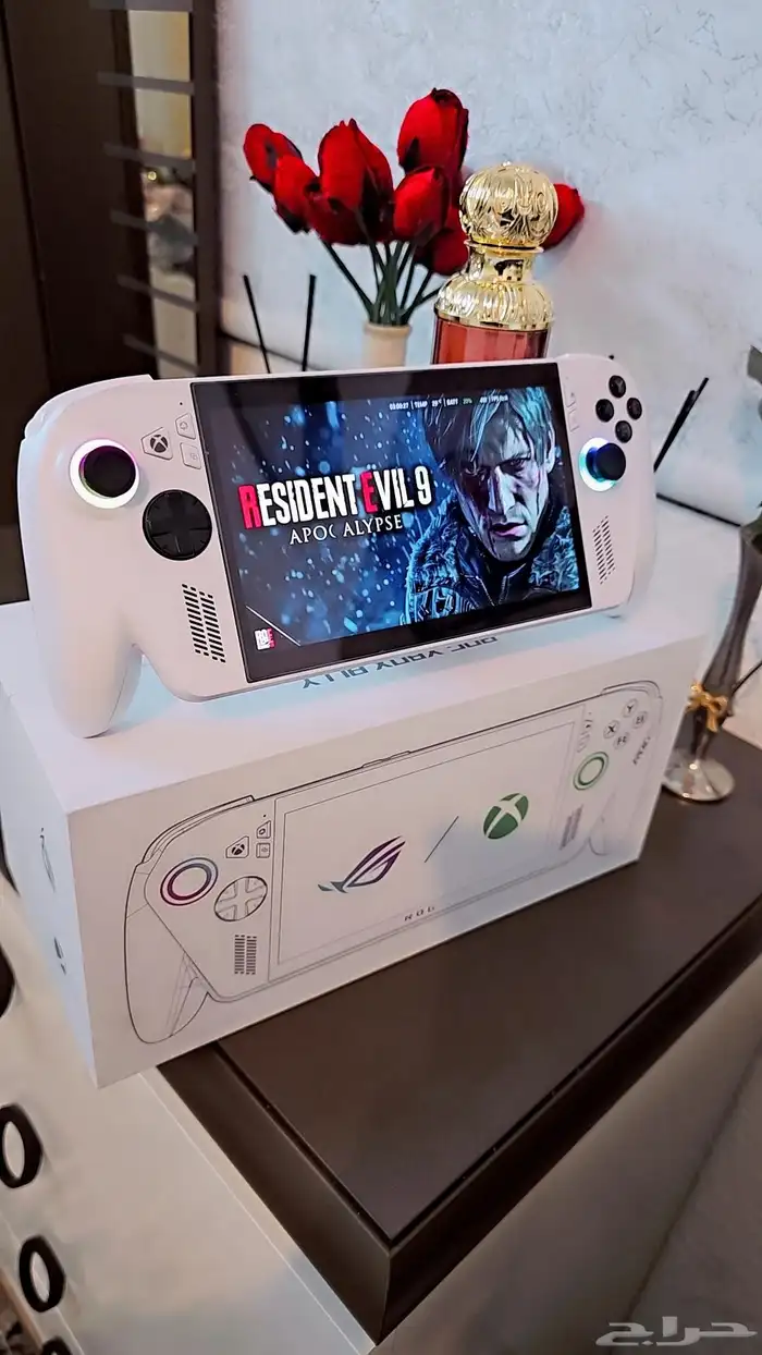 خميس مشيط حديقه الروضه 2