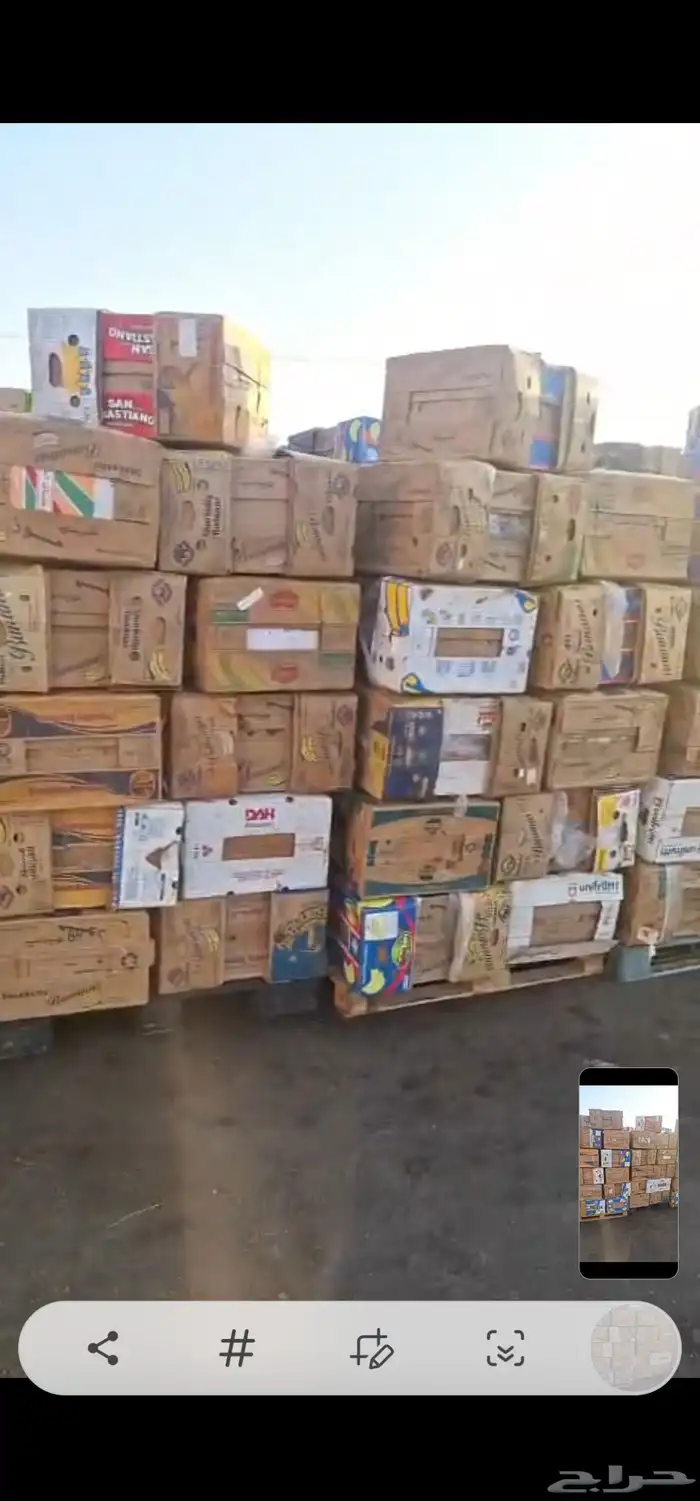 كرتون موز فاضي كمية كبيرة 0