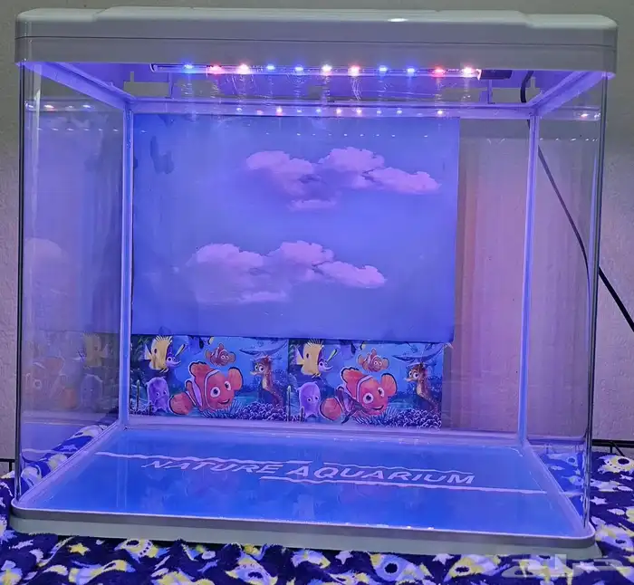 حوض سمك وعده كامله مشروع متكامل 1