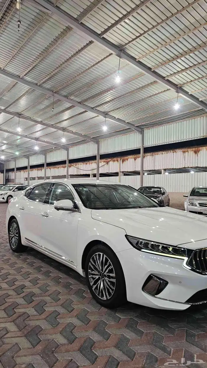 كادينزا 2020 فل كامل بنزين 17