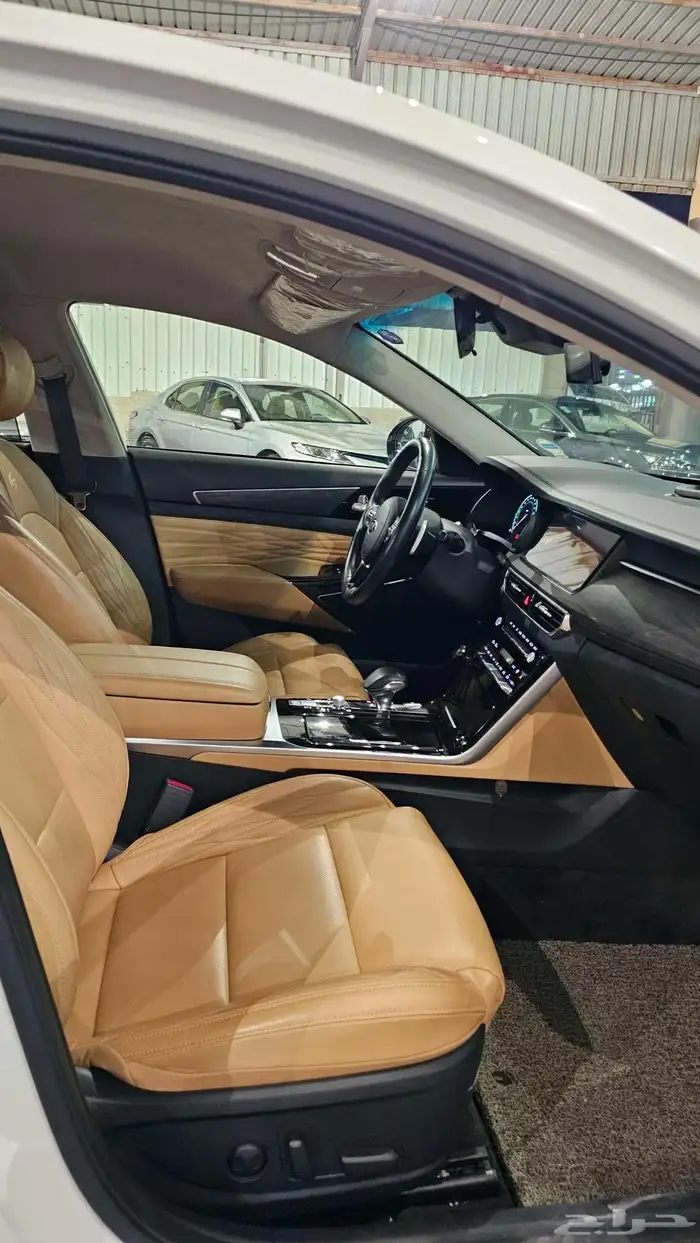 كادينزا 2020 فل كامل بنزين 19